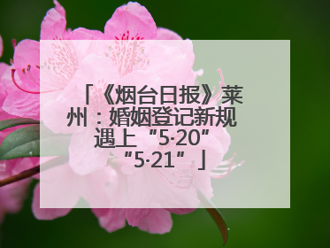 《烟台日报》莱州：婚姻登记新规遇上“5·20”“5·21”