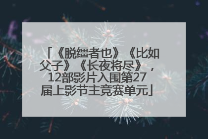 《脱缰者也》《比如父子》《长夜将尽》，12部影片入围第27届上影节主竞赛单元