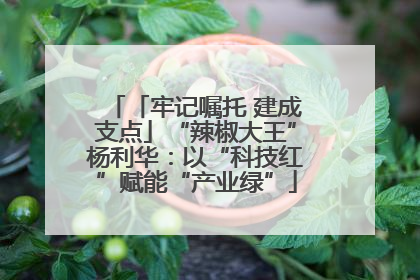 「牢记嘱托 建成支点」“辣椒大王”杨利华：以“科技红”赋能“产业绿”