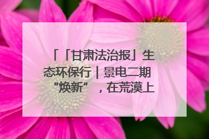 「甘肃法治报」生态环保行｜景电二期“焕新”，在荒漠上筑起一道绿色长城