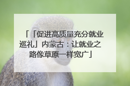 「促进高质量充分就业巡礼」内蒙古：让就业之路像草原一样宽广