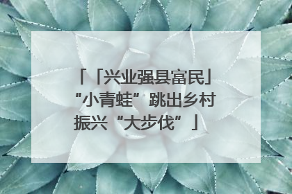 「兴业强县富民」“小青蛙”跳出乡村振兴“大步伐”