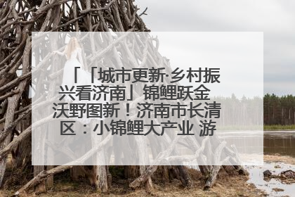 「城市更新·乡村振兴看济南」锦鲤跃金 沃野图新！济南市长清区：小锦鲤大产业 游出农旅新风景