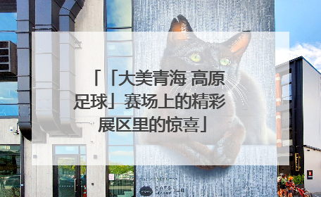 「大美青海 高原足球」赛场上的精彩 展区里的惊喜