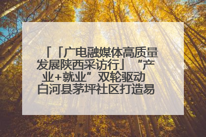 「广电融媒体高质量发展陕西采访行」“产业+就业”双轮驱动 白河县茅坪社区打造易地搬迁后扶新样本