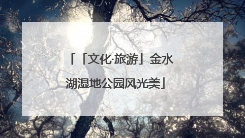 「文化·旅游」金水湖湿地公园风光美