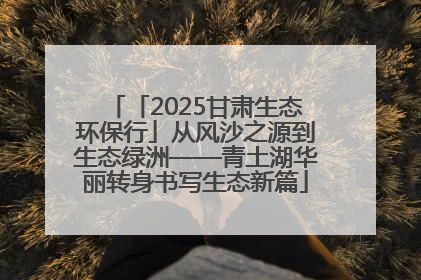 「2025甘肃生态环保行」从风沙之源到生态绿洲——青土湖华丽转身书写生态新篇