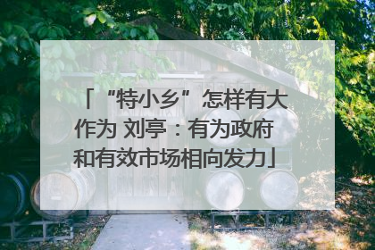 “特小乡”怎样有大作为 刘亭：有为政府和有效市场相向发力