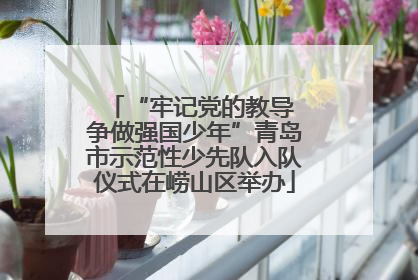 “牢记党的教导 争做强国少年”青岛市示范性少先队入队仪式在崂山区举办