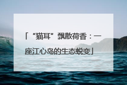 “猫耳”飘散荷香：一座江心岛的生态蜕变