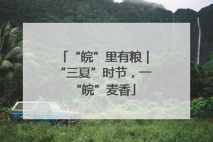 “皖”里有粮｜“三夏”时节，一“皖”麦香