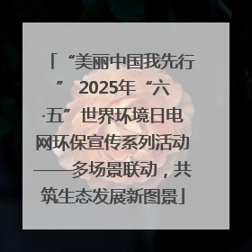 “美丽中国我先行” 2025年“六·五”世界环境日电网环保宣传系列活动——多场景联动，共筑生态发展新图景