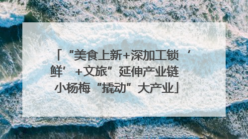 “美食上新+深加工锁‘鲜’+文旅”延伸产业链 小杨梅“撬动”大产业