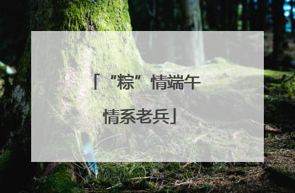 “粽”情端午 情系老兵