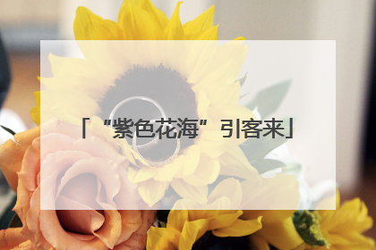“紫色花海”引客来