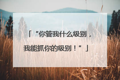 “你管我什么级别，我能抓你的级别！”