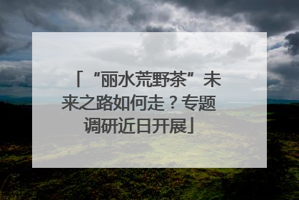 “丽水荒野茶”未来之路如何走？专题调研近日开展