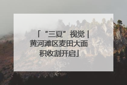 “三夏”视觉｜黄河滩区麦田大面积收割开启