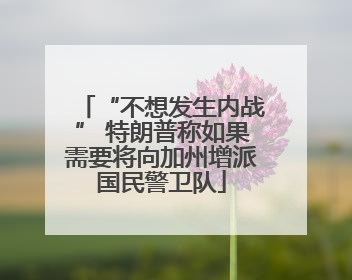 “不想发生内战” 特朗普称如果需要将向加州增派国民警卫队