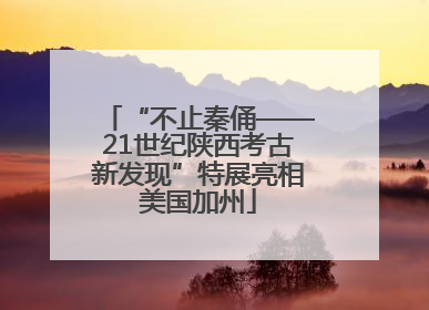 “不止秦俑——21世纪陕西考古新发现”特展亮相美国加州