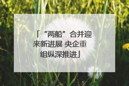 “两船”合并迎来新进展 央企重组纵深推进