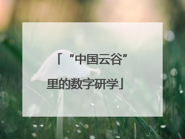 “中国云谷”里的数字研学