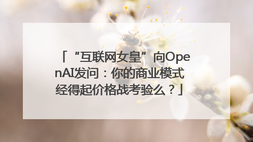 “互联网女皇”向OpenAI发问：你的商业模式经得起价格战考验么？