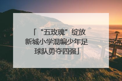 “五玫瑰”绽放 新城小学混编少年足球队勇夺四强