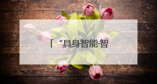 “具身智能·智启未来”会议成功举办 助力具身智能产业健康发展