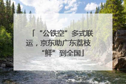 “公铁空”多式联运，京东助广东荔枝“鲜”到全国