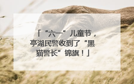 “六一”儿童节，亭湖民警收到了“黑猫警长”锦旗！
