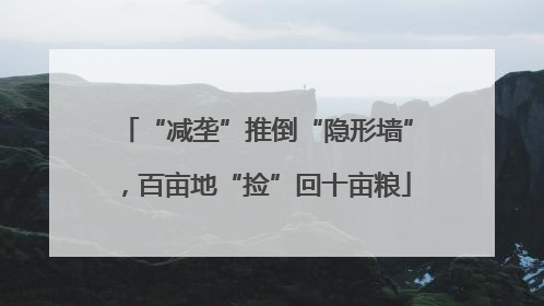 “减垄”推倒“隐形墙”，百亩地“捡”回十亩粮