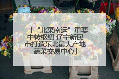 “北菜南运”重要中转枢纽 辽宁新民市打造东北最大产地蔬菜交易中心