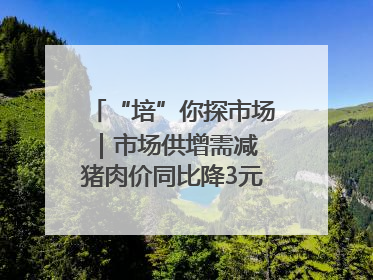 “培”你探市场｜市场供增需减 猪肉价同比降3元 未来40天便宜猪肉敞开吃