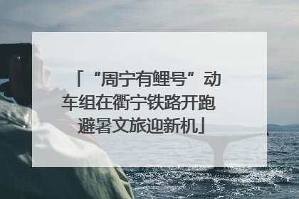 “周宁有鲤号”动车组在衢宁铁路开跑 避暑文旅迎新机
