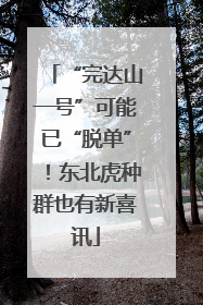 “完达山一号”可能已“脱单”！东北虎种群也有新喜讯