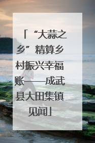 “大蒜之乡”精算乡村振兴幸福账——成武县大田集镇见闻
