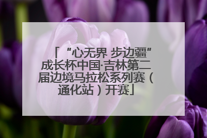 “心无界 步边疆”成长杯中国·吉林第二届边境马拉松系列赛（通化站）开赛