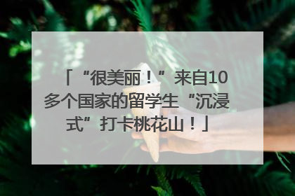 “很美丽！”来自10多个国家的留学生“沉浸式”打卡桃花山！