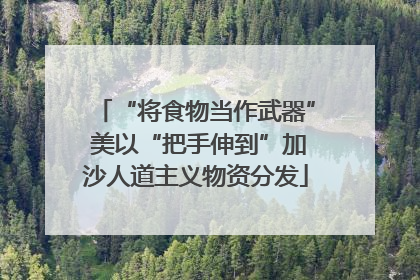 “将食物当作武器” 美以“把手伸到”加沙人道主义物资分发