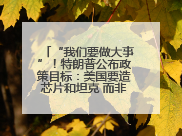 “我们要做大事”!特朗普公布政策目标:美国要造芯片和坦克 而非T恤袜子