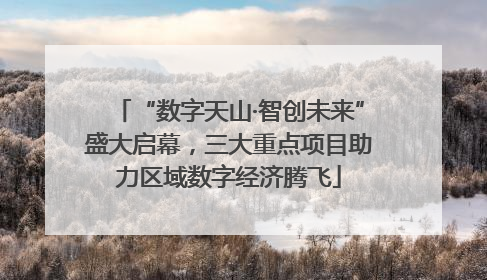 “数字天山·智创未来”盛大启幕，三大重点项目助力区域数字经济腾飞