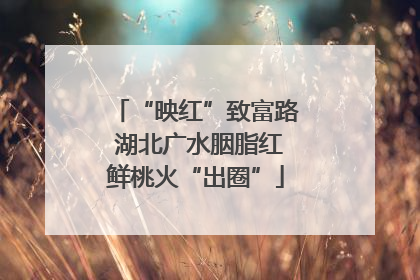 “映红”致富路 湖北广水胭脂红鲜桃火“出圈”