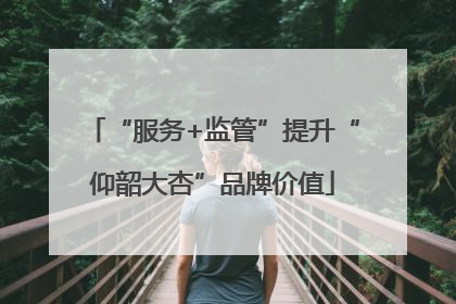“服务+监管”提升“仰韶大杏”品牌价值