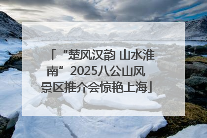 “楚风汉韵 山水淮南”2025八公山风景区推介会惊艳上海