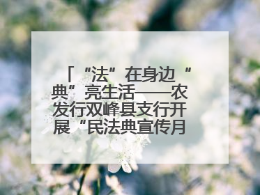 “法”在身边“典”亮生活——农发行双峰县支行开展“民法典宣传月”活动