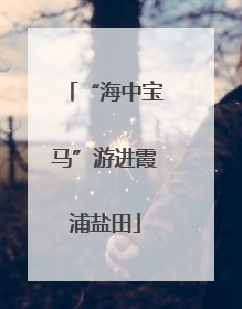 “海中宝马”游进霞浦盐田