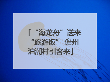 “海龙舟”送来“旅游饭” 儋州泊潮村引客来