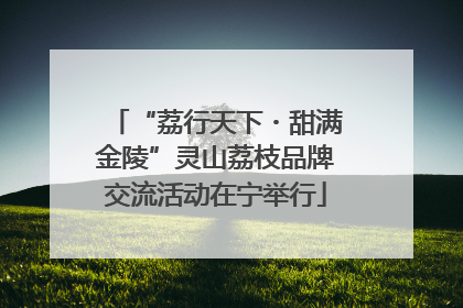 “荔行天下・甜满金陵”灵山荔枝品牌交流活动在宁举行