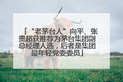 “老茅台人”向平、张贵超获推荐为茅台集团副总经理人选，后者是集团最年轻党委委员